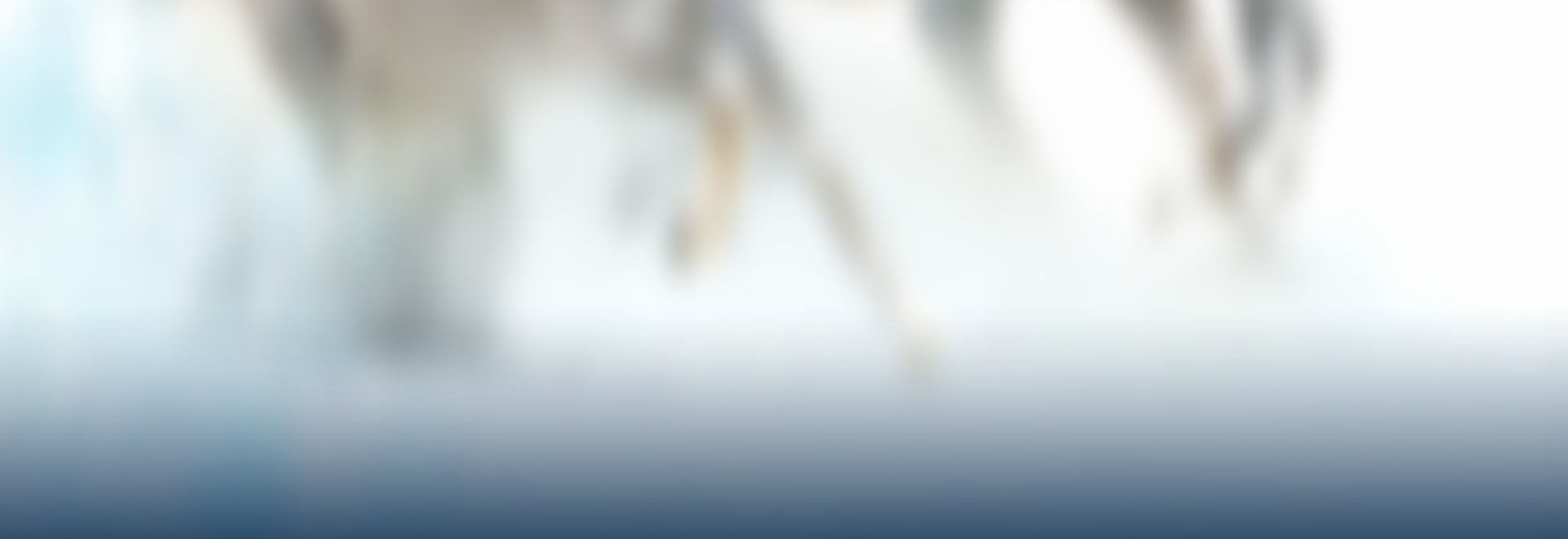 Slide background
